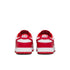 NIKE Dunk Low Next Nature Womens Sneakers